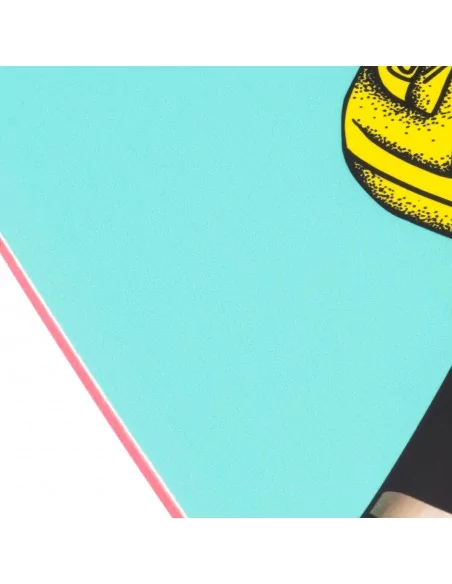 2024 Slingshot Space Grom