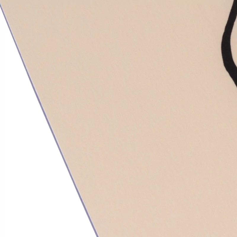 2024 Slingshot Copycat Pro