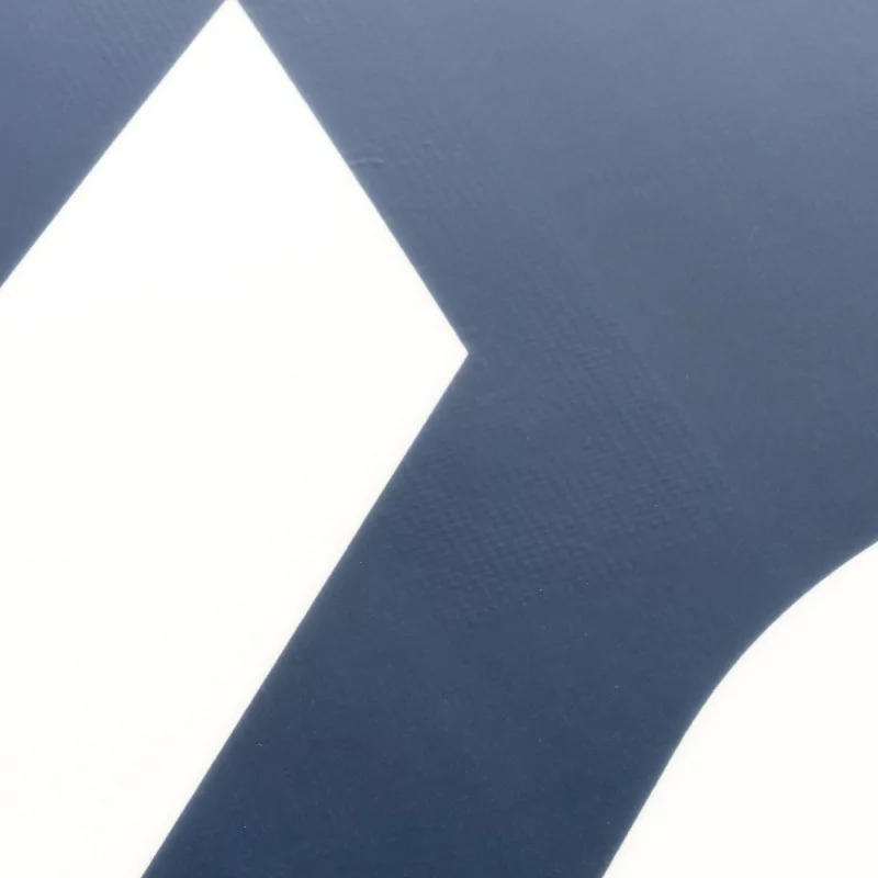 2024 Slingshot Coalition