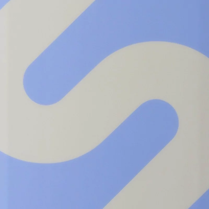 2024 Slingshot Copycat Pro