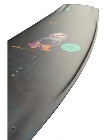 Double Up Atlas 2022