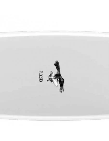 2026 Wakeboard Double Up Atlas