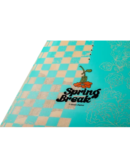 2026 Wakeboard Ronix Spring break