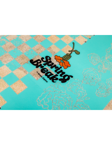 2026 Wakeboard Ronix Spring break