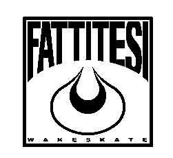 Fattitesi